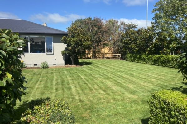 The Lawn Man Sam can mow your grass in a range of North Canterbury properties