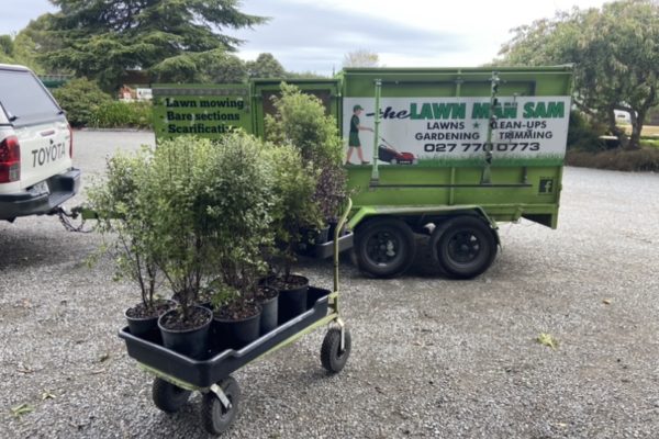 The Lawn Man Sam can upgrade your backyard with landscaping and tree planting