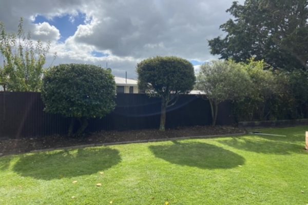 The Lawn Man Sam can prune or trim your trees in North Canterbury