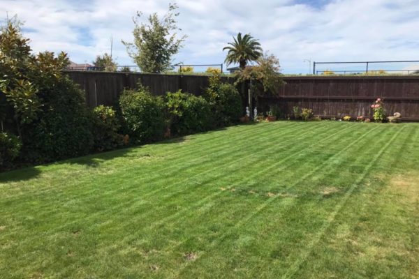 The Lawn Man Sam offers lawn mowing services to North Canterbury