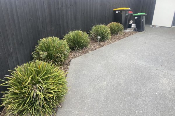 Get your backyard cleaned with The Lawn Man Sam in North Canterbury